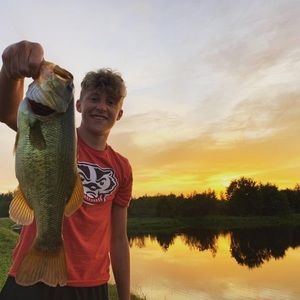 Meet your Posher, Nolan